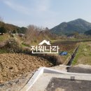 가산초교 이미지