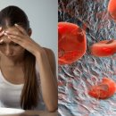 보룡약국 이미지