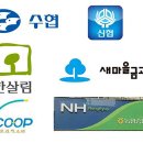 한국문화교육협동조합 이미지