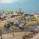 유천생태습지공원 화장실 | 남양주 벚꽃 명소, 다산생태공원 | 팔당호 따라 흩날리는 벚꽃길