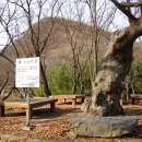 절부마을 이미지