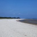 4/30(일)안면도 봄 나들이(안면도수목원&amp;바람아래해수욕장) 이미지