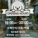 반자주 일광신도시점 | 기장 반자주 일광신도시점 애견간식 없는 게 없었던 애견용품샵