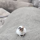 바다마을민박 이미지