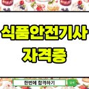 혁이네식품 | 식품안전기사 자격요건 온라인만으로 준비해서 취득했어요
