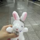 뽑기플러팅 이미지