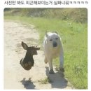 3월 일상