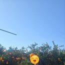 대정농장 이미지