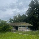 오동동011 이미지