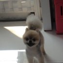 모글리하우스 이미지