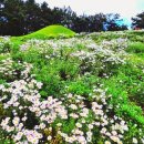 서악큰마을 이미지