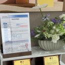 웨딩스쿨결혼전문영남 | 신혼가전 준비의 성지 | LG전자 베스트샵 달성점 방문기