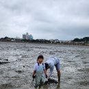 “부안 모항갯벌체험장 후기 물때표·체험비·모시조개 해감까지 완벽 정리”
