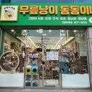 진영냥이 이미지