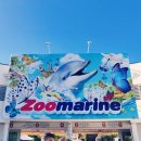 N125 | [포르투갈/Algarve]포르투갈 알부페이라 근교 놀이공원 주마린 Zoomarine,아이와 함께 포르투갈 여행