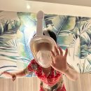 레아네팜 이미지