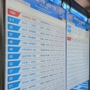 가야 진 밀면 | 부산 최가네가야밀면(+부산 진시장쇼핑) / 내돈내산 솔직후기