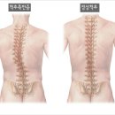 도수명가 이미지