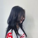 와이엘헤어