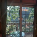 자연과 사람들 이미지