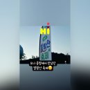 8월16일 모나 용평 이미지