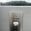 스테이치목 이미지