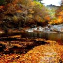 뚱땡이네 이미지