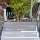 이천 에덴파라다이스호텔 세상의 모든 아침 할인 꿀팁, 알렉스 더 커피 내돈내산 후기