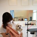 쁘띠 펫 살롱 이미지