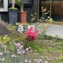 내고향산장 | 구례맛집 추천 [담백한 항암효과 버섯전골, 전남구례맛집 '고향산장' 후기]