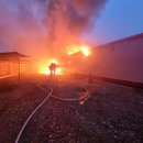 4공주농장 이미지