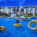 연기면_세종예술고 | 대전 근교 물놀이 세종중앙공원 야외수영장 후기