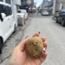 서와정