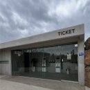 대지파크 | 제주 파호이호이 라바필드 파크 2026년 3월 무료입장｜직접 다녀온 후기