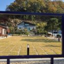 시고르까사 이미지