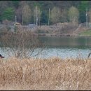 다산생태공원 이미지