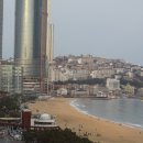 해운대그린나래호텔 이미지