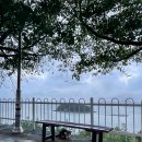 바다냥이네 이미지