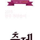 천일홍축제 이미지