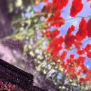 S건축사사무소 | 라스베가스 스피어 오즈의 마법사ㅣ공연 꿀팁, 가격, 좌석 305, 예약