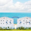 티라시아 이미지