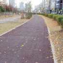 부영당구클럽 이미지