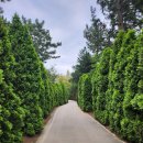 청산이야기 | 태안 데이트 코스 추천｜청산수목원 인생샷 명소 솔직 후기📸