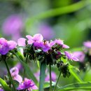 힐링캠프글램핑 이미지