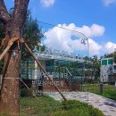 심산김창숙선생기념관, 반포심산아트홀 이미지