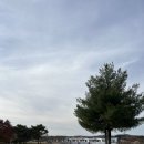 초정힐링캠핑장 이미지