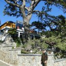 청사포횟집 이미지