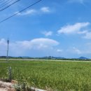 해돌마루민박 이미지