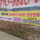 굿덕스125 이미지
