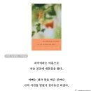 강남농약 | 간추린 일상과 두쫀쿠먹방과 책후기